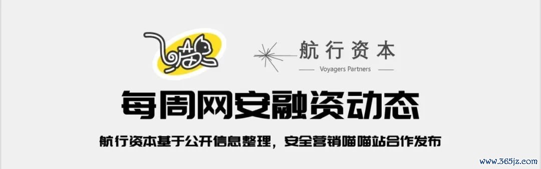 钱包市场现状分析_利用im钱包官网版分析市场动态与趋势_钱包市场分析