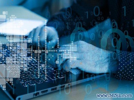 im钱包官网_im钱包App的最新功能与用户反馈讨论_区块链钱包imtoken