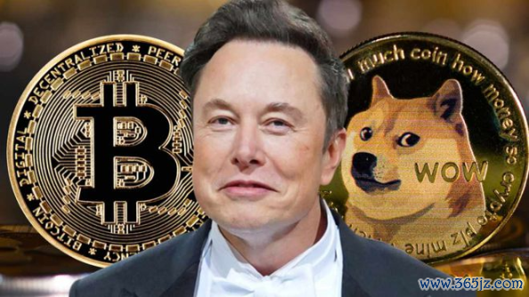 万字全面解读MEME赛道：如何成为金狗猎手？
